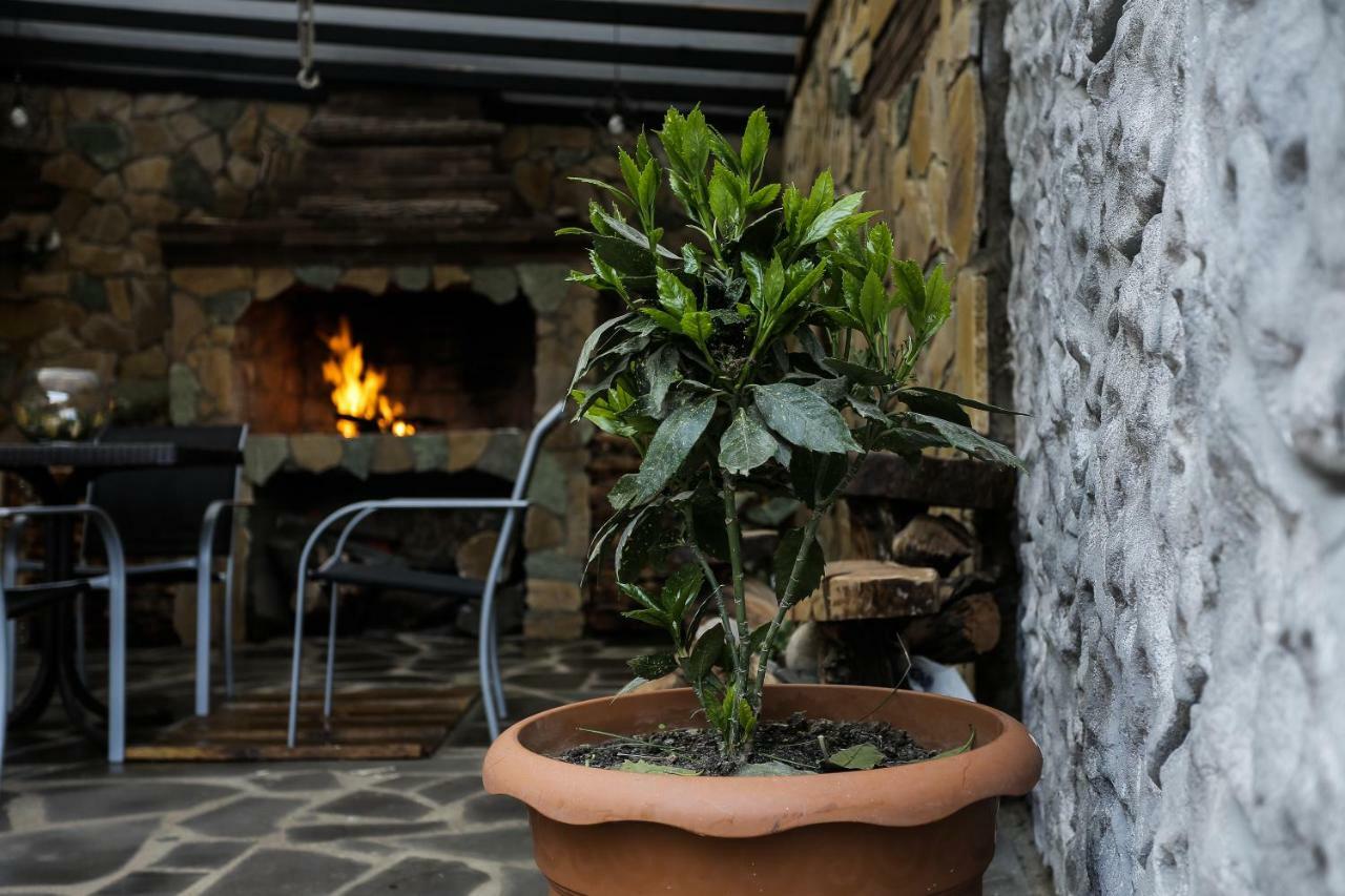 Sunnyavlabari Homestay Tbilisi Exteriér fotografie